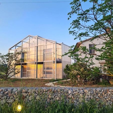 Anonima Agricola Villa Orbetello Exteriör bild