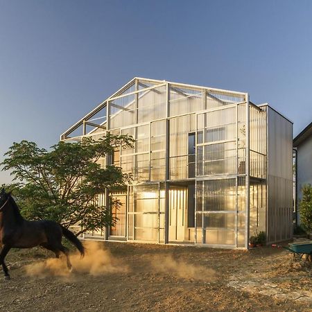 Anonima Agricola Villa Orbetello Exteriör bild