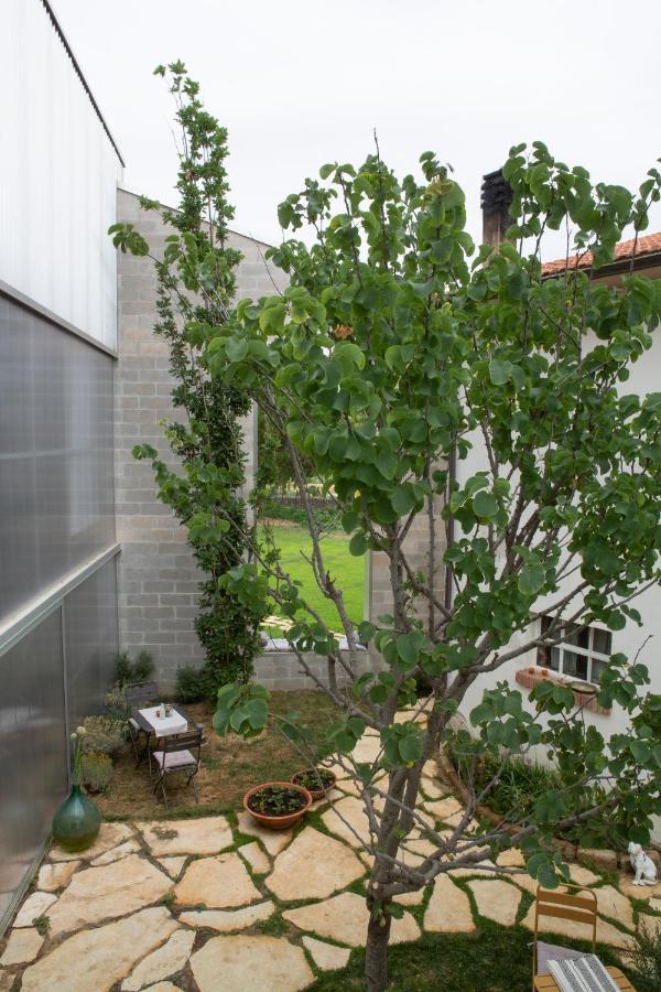 Anonima Agricola Villa Orbetello Exteriör bild