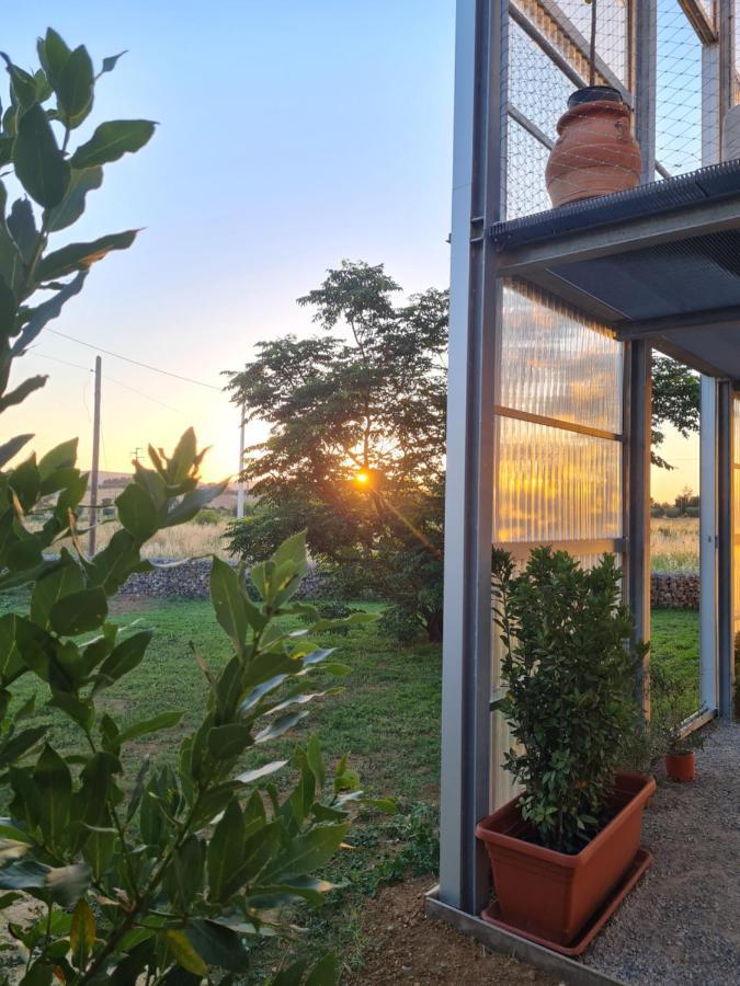 Anonima Agricola Villa Orbetello Exteriör bild