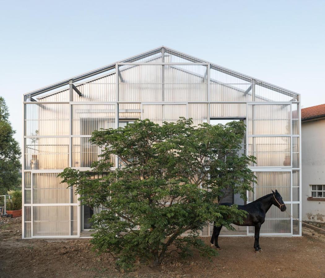 Anonima Agricola Villa Orbetello Exteriör bild